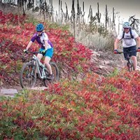 Fall 2026 Registration Coming&nbsp;Soon